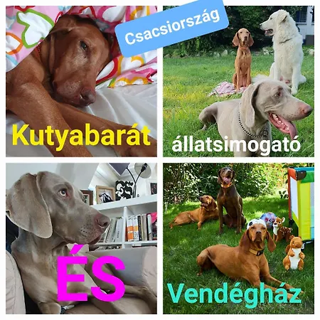 Csacsiorszag Vendeghaz Farma Nogradsap