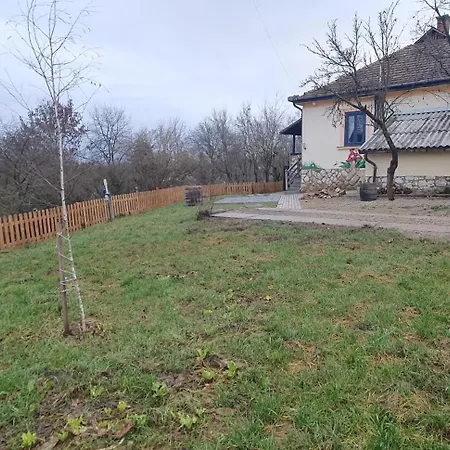 Csacsiorszag Vendeghaz