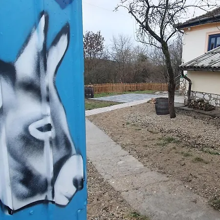 Csacsiorszag Vendeghaz