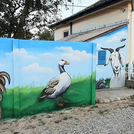 Csacsiorszag Vendeghaz Nogradsap